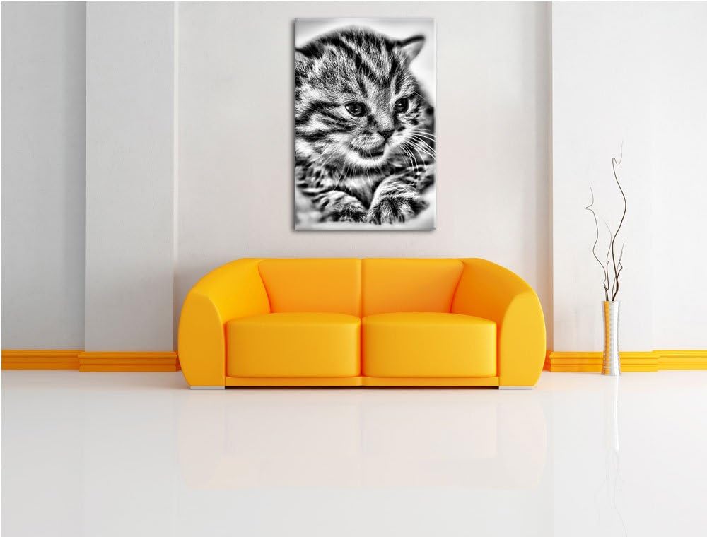 Pixxprint Monocrome, kleines Kätzchen auf weisser Decke, Format: 100x70 auf Leinwand, XXL riesige Bi