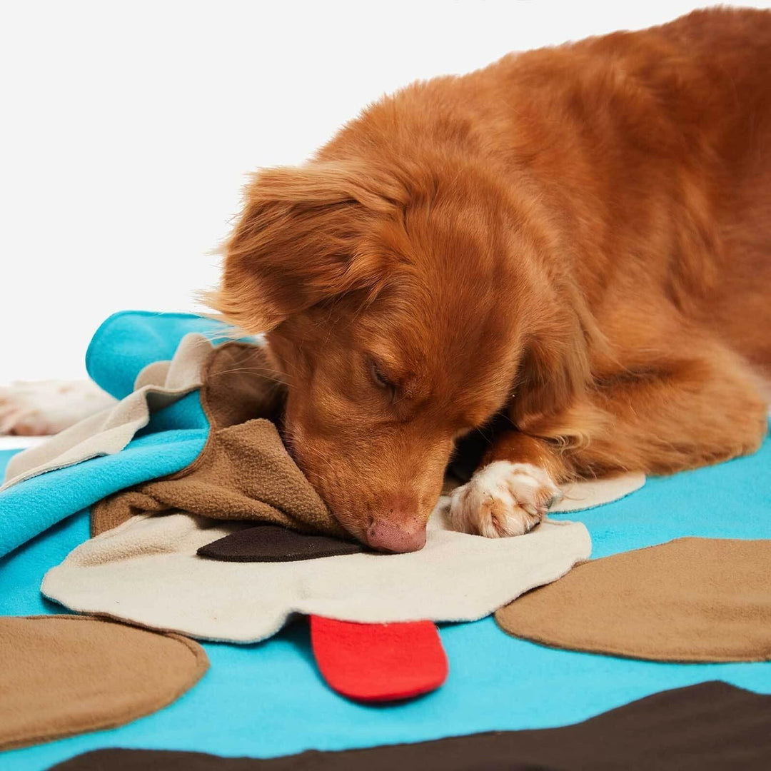 KNAUDERS Best Sniffpad Buddy - Spannendes Spiel von Knauder's Best