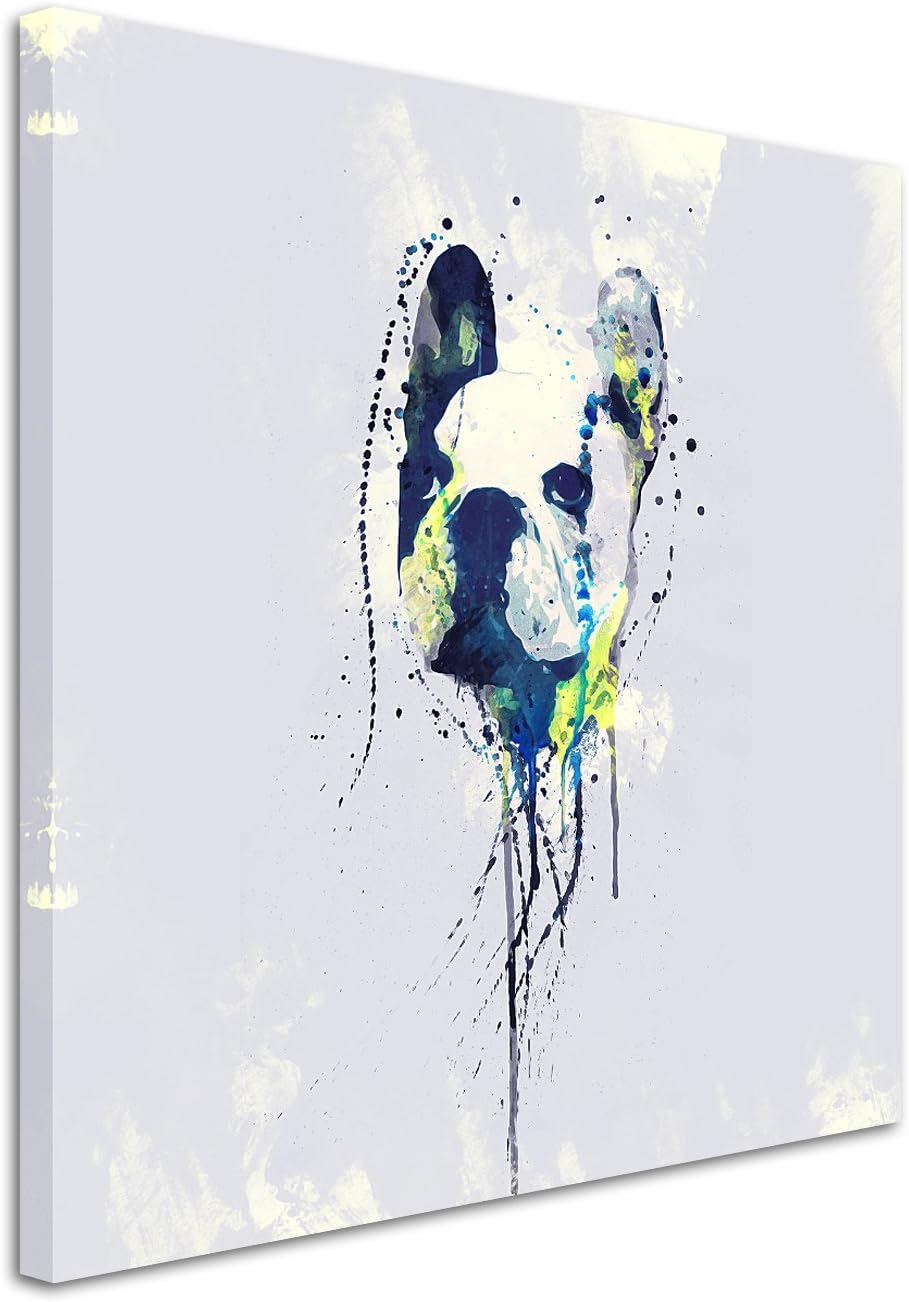 Paul Sinus Art French Bulldog 60x60cm Keilrahmenbild Kunstbild Aquarell Art Wandbild auf Leinwand fe