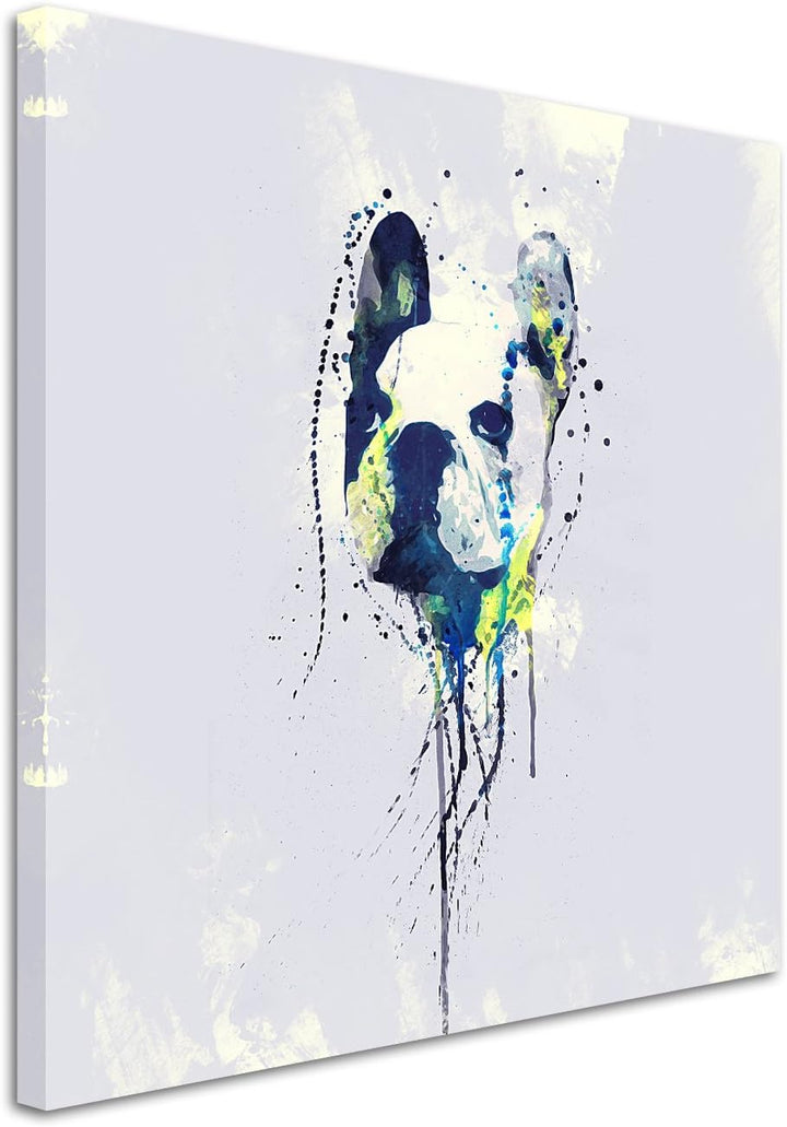 Paul Sinus Art French Bulldog 60x60cm Keilrahmenbild Kunstbild Aquarell Art Wandbild auf Leinwand fe