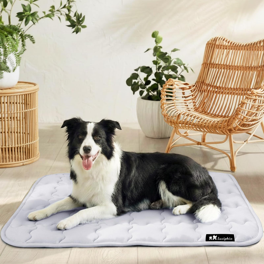 luciphia Kühlmatte Hund für Katze Hunde, Hundematte Sommer Kühlkissen Waschbares Hundebett, Kühldeck