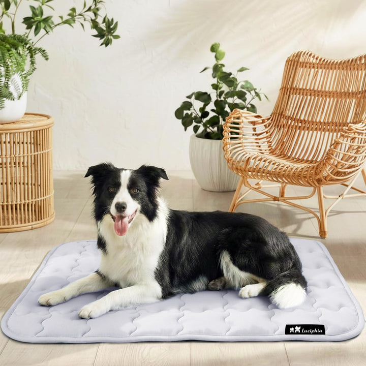 luciphia Kühlmatte Hund für Katze Hunde, Hundematte Sommer Kühlkissen Waschbares Hundebett, Kühldeck
