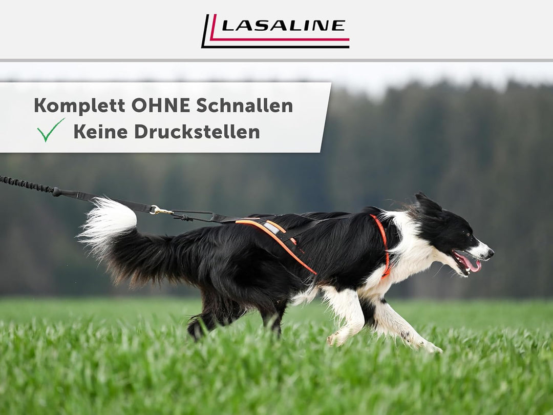 LASALINE Hunde Zuggeschirr X Back für Canicross Hundesport Dogscooter Bikejöring Schlitten in Schwar
