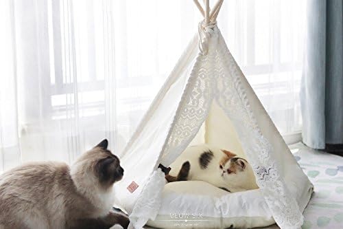 Little Dove Hunde Tipi Zelt Hause und Zelt mit Spitze für Hund oder Haustier, abnehmbar und waschbar