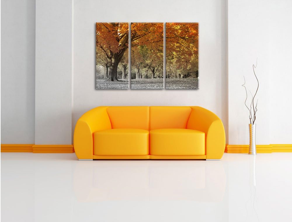 Pixxprint schöne Herbstlandschaft als Leinwandbild/Grösse: 3 Teilig (120x80 cm) cm/Wandbild/Kunstdru