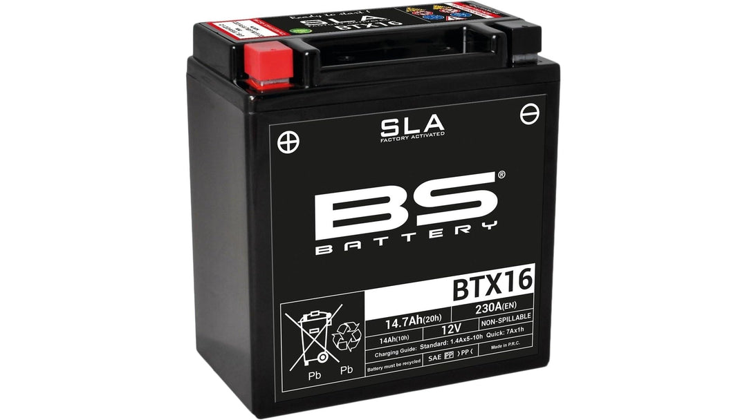 BS Battery 300763 BTX16 AGM SLA Motorrad Batterie, Schwarz