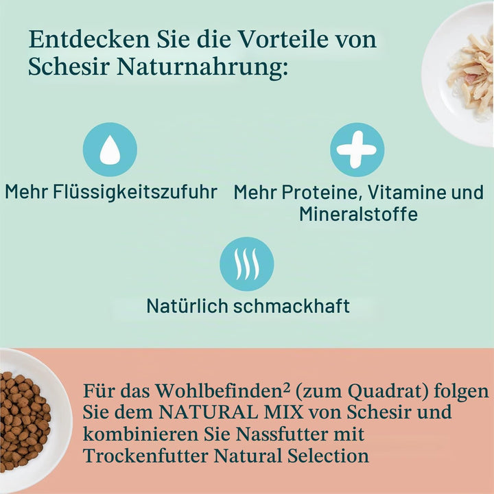 Schesir Cat Kitten Cream Huhn - Kitten Nassfutter für Junge Katzen - Hühner-Creme Katzenfutter nass