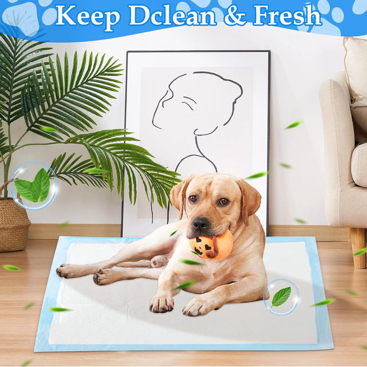 40 Stück Trainingspads für Hunde und Welpen, Auslaufsicheres PIPI Matten für Hunde, 60×60cm Pinkelma