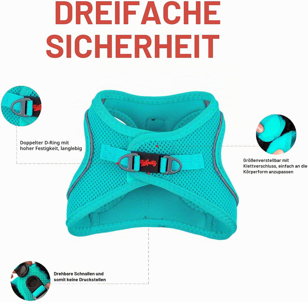 Air-Mesh Brustgeschirr für kleine und mittelgrosse Katzen und Hunde – Weich, Atmungsaktiv, Strapazie