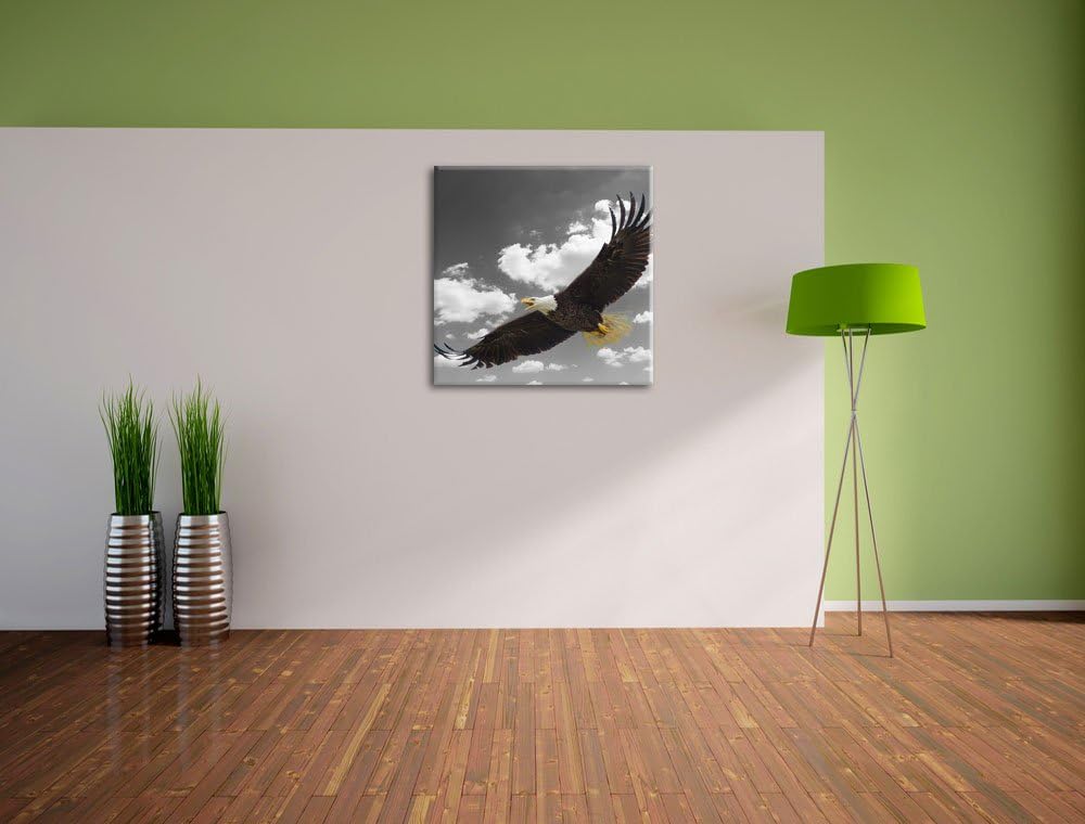 Pixxprint Weisskopfseeadler beim fliegen als Leinwandbild/Grösse: 70x70 cm/Wandbild/Kunstdruck/ferti