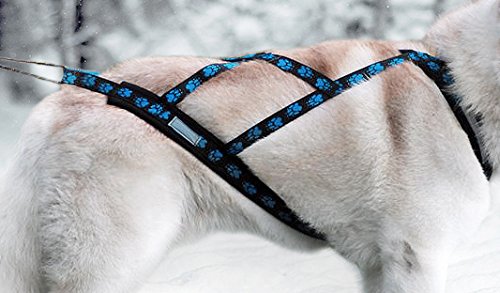 X-Back Zuggeschirr Fuer Bike-, Skijoring, Dogscooting, Schlitten, Blaue Pfoten (XXL), XXL