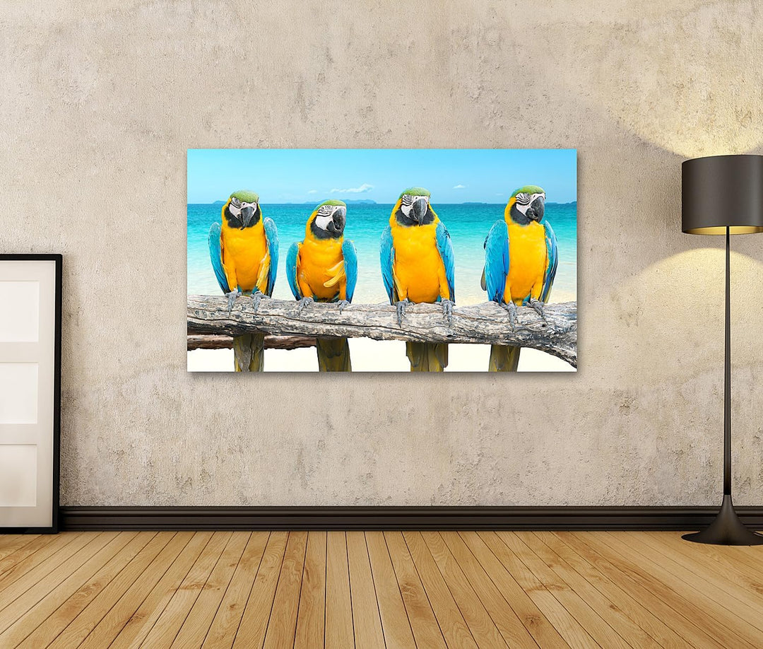 islandburner Bild auf Leinwand Ara Papagei Auf Ast Am Tropischen Schönen Strand Und Meer Bilder Wand