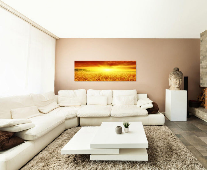 Paul Sinus Art Panoramabild auf Leinwand und Keilrahmen 150x50cm Kornfeld Sonnenuntergang Spätsommer