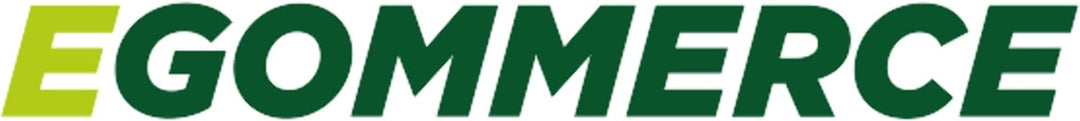 EGOMMERCE Autoreifen N810 225/45 R17 91H – Zertifizierte M+S/3PMSF- Thermische Winterreifen – Winter