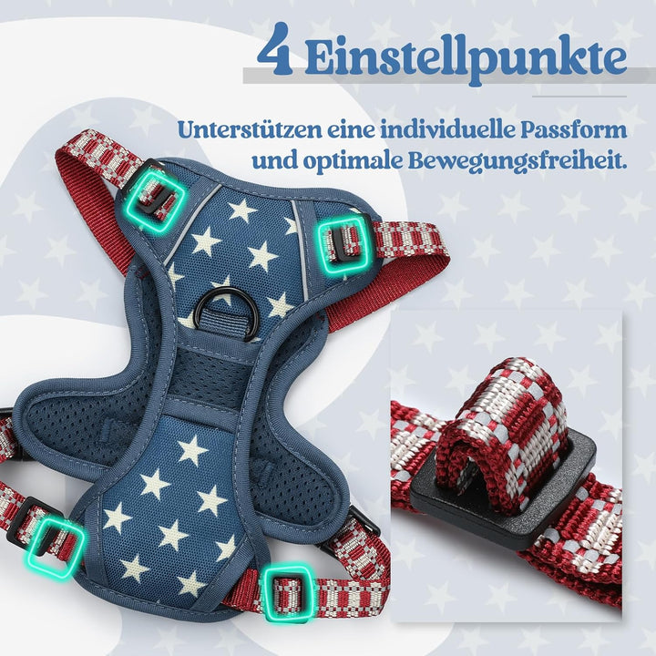 rabbitgoo Hundegeschirr Mittelgrosse Hunde, Anti Zug Geschirr mit Kontrolle, No Pull Verstellbar Hun