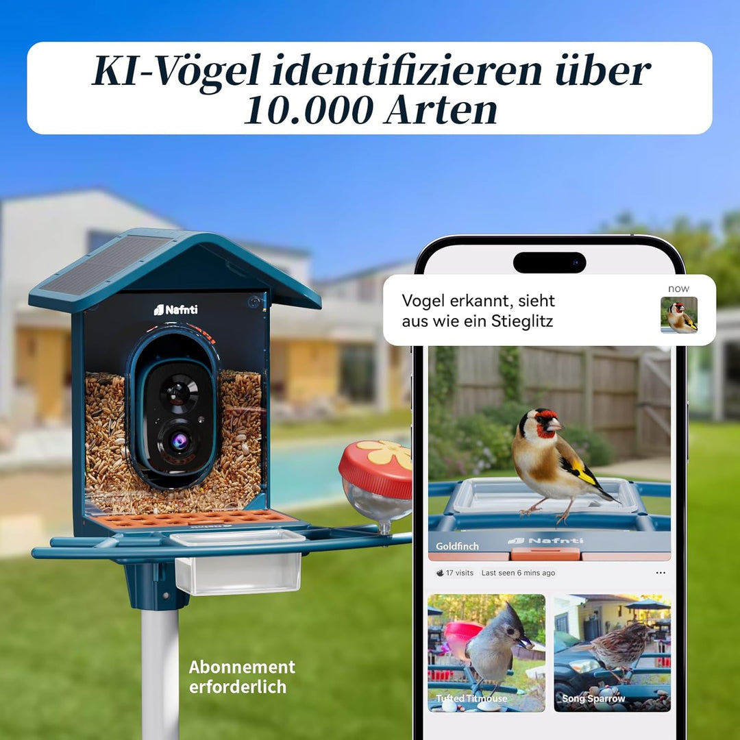 Vogelhaus mit Kamera, AI Identifizieren von Vögeln, 2,4 GHz/5 GHz, solarbetrieben, Eichhörnchensiche