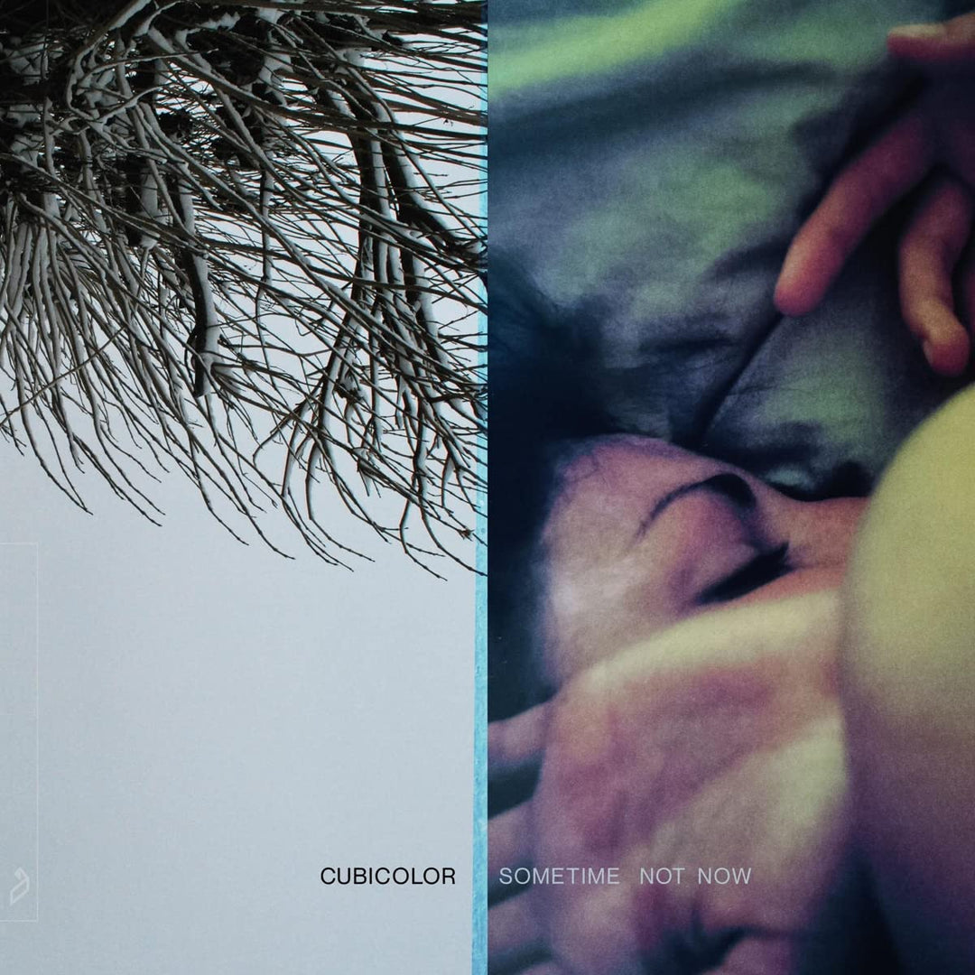 Sometime Not Now, Vinyl