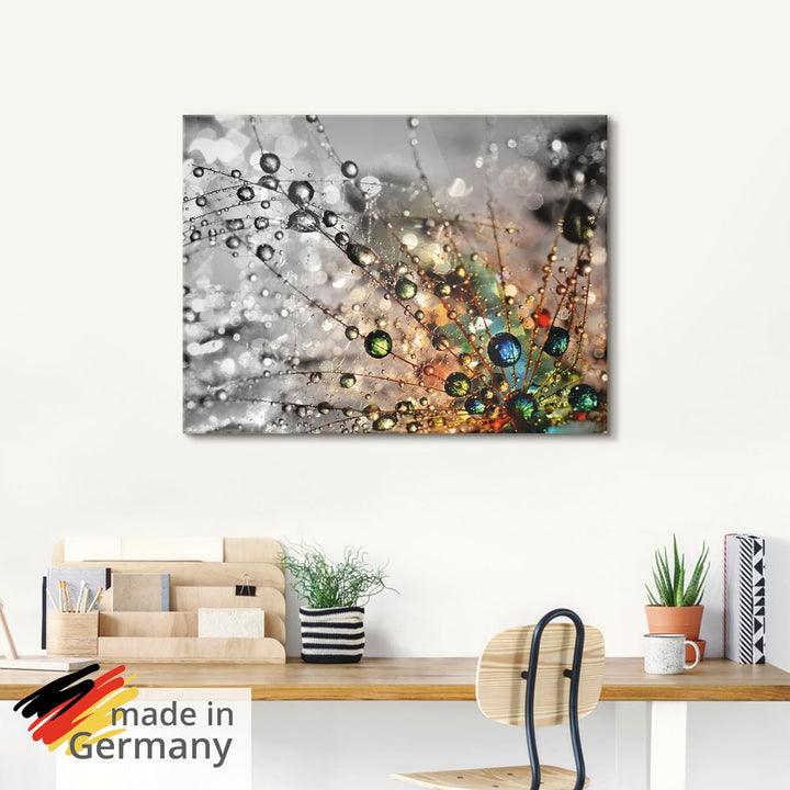 Glasbilder Wandbild Glas Bild einteilig 60x45 cm Querformat Natur Botanik Blumen Pusteblume Frühling
