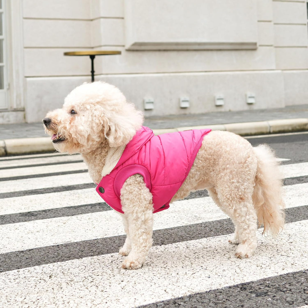 Hunde-Kapuzenpullover mit Fleece-Futter, extra warm, Grösse S, Rosa, Small (Pack of 1) rose