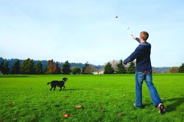 Schmeiss es! Pro 26XL Dog Ball Launcher Fetch Hundespielzeug Ballwerfer mit XL-Tennisball, 66 cm Ver