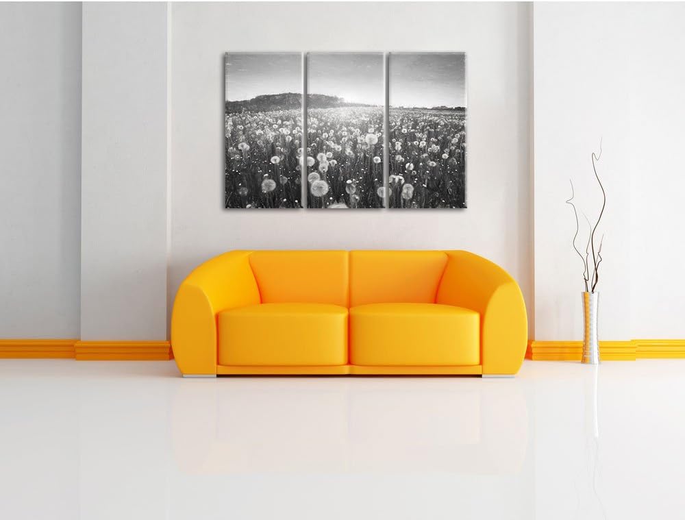 Pixxprint Pusteblumen Sonnenuntergang als Leinwandbild/Grösse: 3 Teilig (120x80) cm/Wandbild/Kunstdr