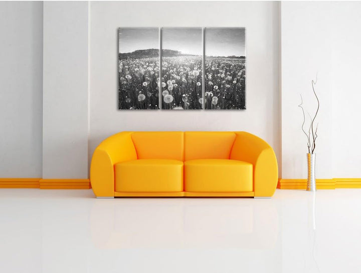 Pixxprint Pusteblumen Sonnenuntergang als Leinwandbild/Grösse: 3 Teilig (120x80) cm/Wandbild/Kunstdr