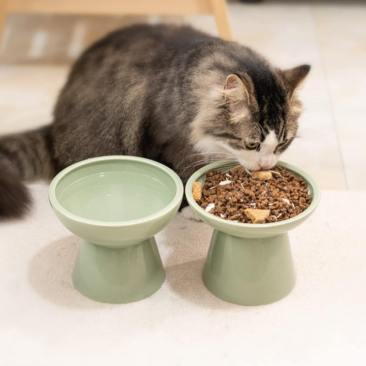 CEEFU 2 extra breiter erhöhter Katzenfutternapf, Keramik-Katzennäpfe für Futter und Wasser, breite f