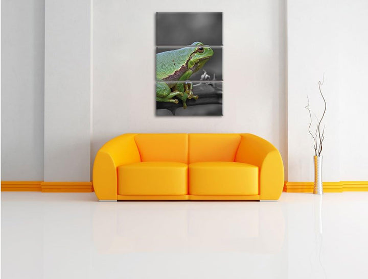 Pixxprint winziger Frosch auf Dornenast als Leinwandbild/Grösse: 3 Teilig (120x80) / Wandbild/Kunstd