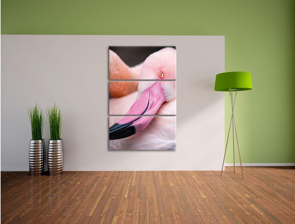 Pixxprint Aufblühende Sonnenblume als Leinwandbild/Grösse: 3 Teilig (120x80) / Wandbild/Kunstdruck/f