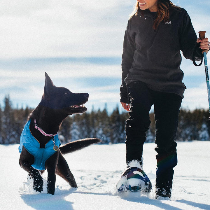 Kurgo Loft Hundejacke, Mit Hundegeschirr kombinierbar, Wasserdicht und reflektierend, Ideal für den