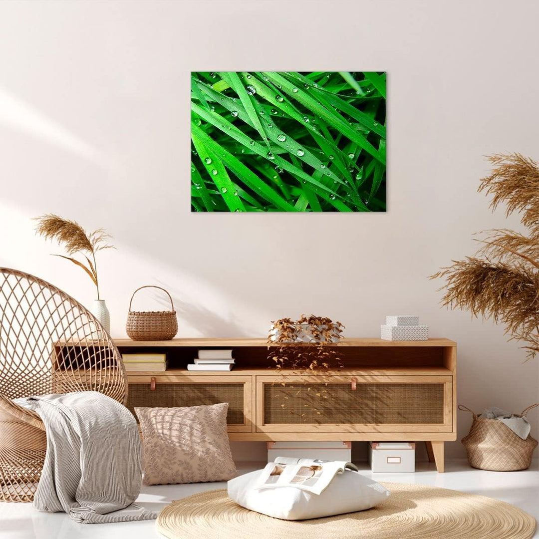 Bilder auf Leinwand Natur Gras Wasser Tropfen Leinwandbild 70x50cm Wandbilder Dekoration Wohnzimmer