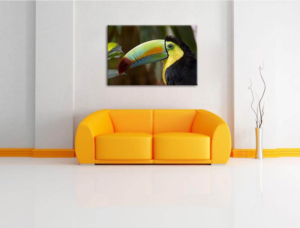 Pixxprint schöner Tukan auf Leinwand, XXL riesige Bilder fertig gerahmt mit Keilrahmen, Kunstdruck a