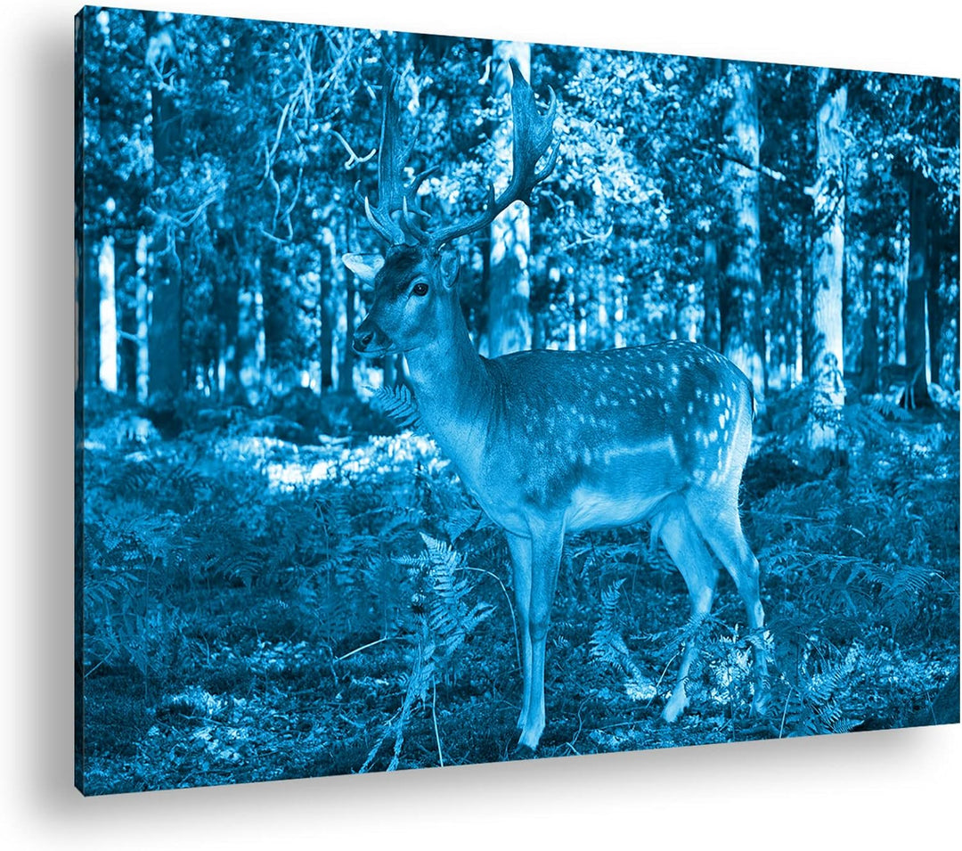 deyoli bezaubernder Hirsch im Wald Format 80x60 Effekt: Monocrome Blau als Leinwandbild, Motiv ferti