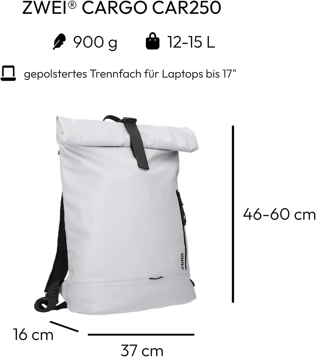 Zwei CARGO Rucksack CAR250 ice, Ice