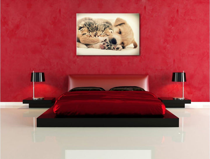 Pixxprint Hundewelpe mit kleinen Kätzchen / 100x70cm Leinwandbild bespannt auf Holzrahmen/Wandbild K
