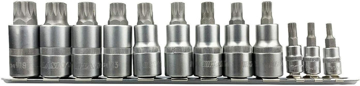 Steckschlüsselsatz Innenvielzahn Satz Nüsse XZN 1/4" M4 M5 M6 Stecknüsse 1/2" M8 M9 M10 M11 M12 M13