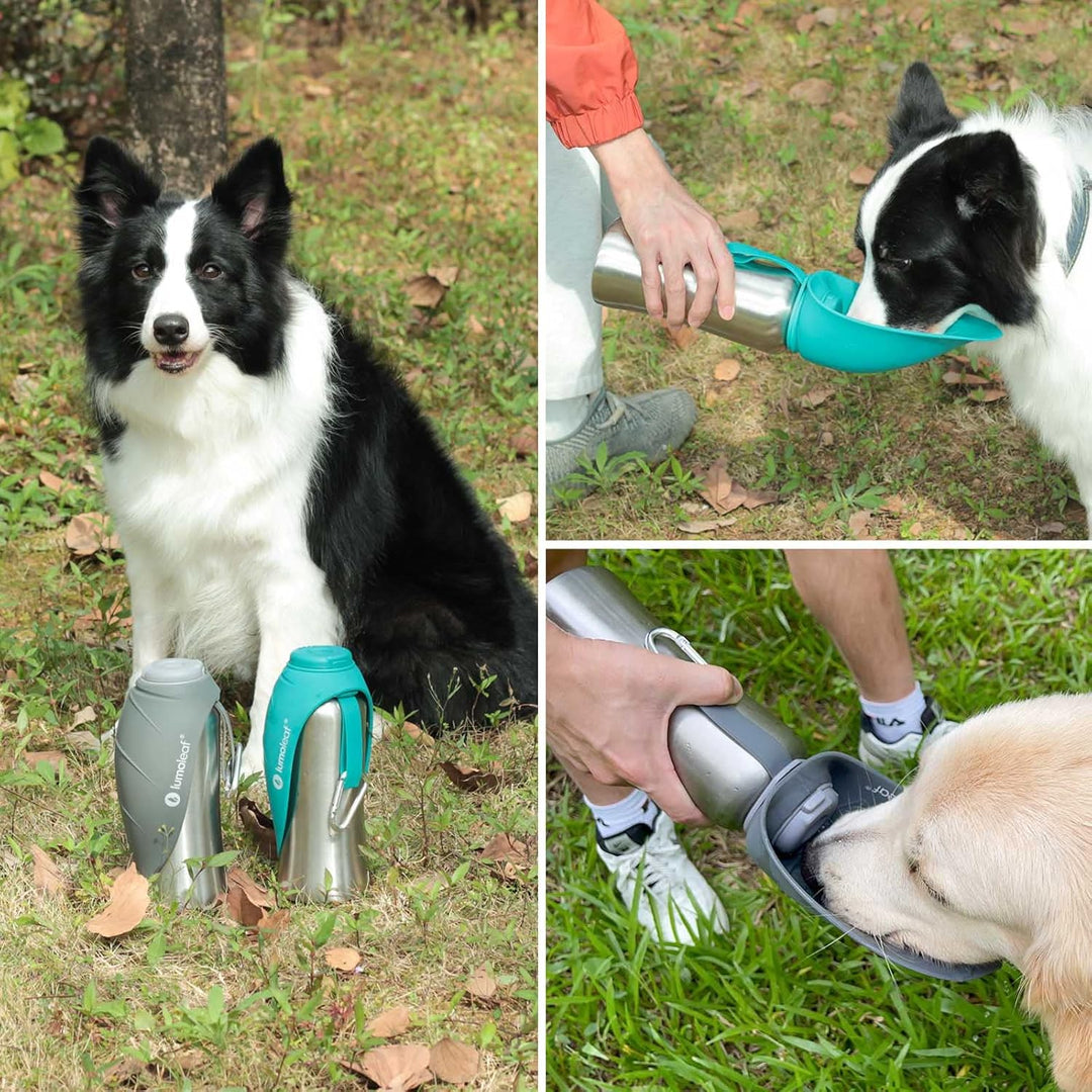LumoLeaf Hundetrinkflasche für unterwegs, 800ml Edelstahl Trinkflasche Hund, Tragbare Haustier Wasse