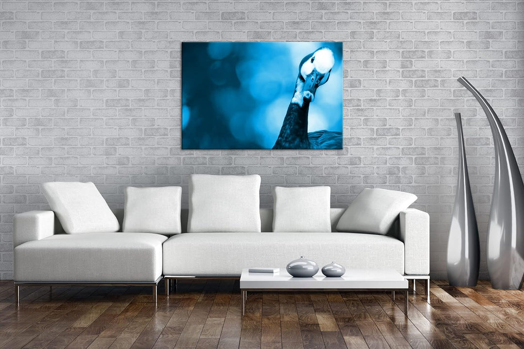 lustige Gans in der Natur Format 80x60 Effekt: Monocrome Blau als Leinwandbild, Motiv fertig gerahmt