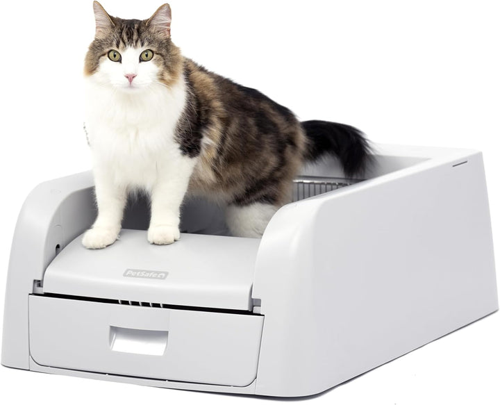 PetSafe ScoopFree Selbstreinigende Katzentoilette für Klumpstreu – hervorragende Geruchskontrolle –