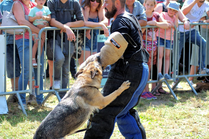 Dingo Gear Schutzarm Extern EXTRA Soft,Weich aus Jute Bissmanschette Hundeausbildung Hundetraining B