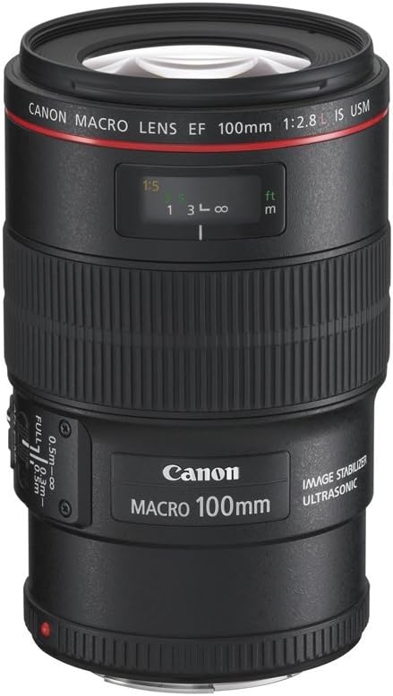 Canon EF 100mm F2.8 L IS USM Macro-Objektiv (67mm Filtergewinde, bildstabilisiert) schwarz Single, S