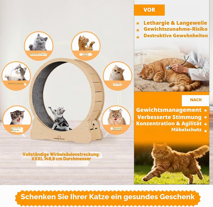Homegroove XXXL Katzenlaufrad, 59 "/150cm Extra grosse Katze Übungsrad für Maine Coon &amp; grosse Katze
