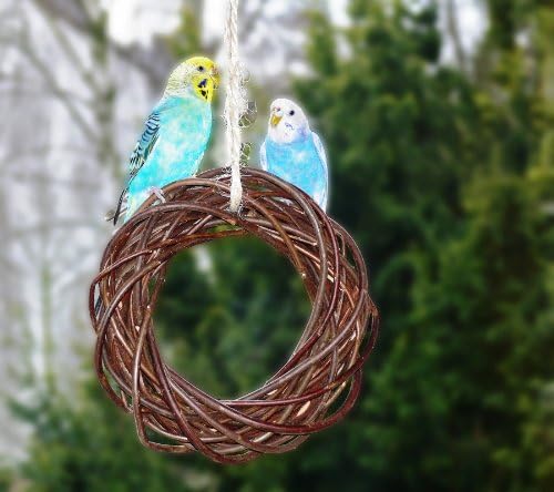 Vogelgaleria® 2X Leckerer Weidenring zum Knabbern für Wellensittich, Nymphensittich & Co.; Weidengef