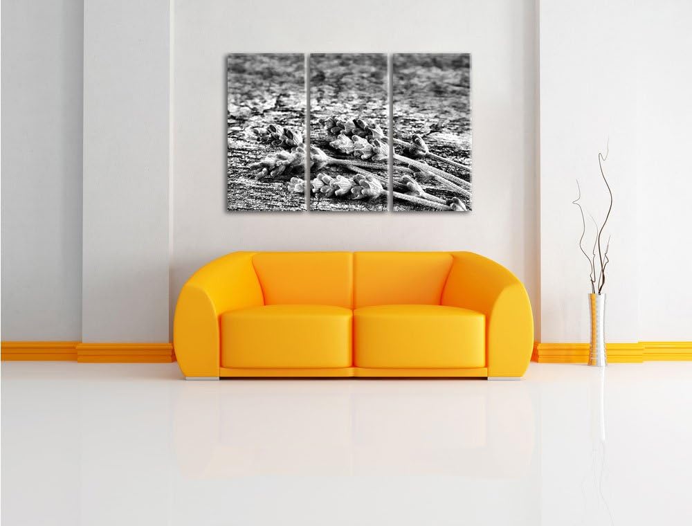 Pixxprint Liegender frischer Lavendel als Leinwandbild/Grösse: 3 Teilig (120x80) cm/Wandbild/Kunstdr