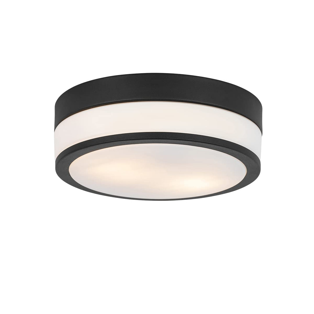 Qazqa - Klassisch I Antik Klassische AussenDeckenleuchte I Deckenlampe I Lampe I Leuchte schwarz 28