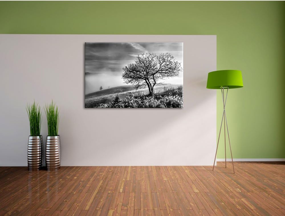 Pixxprint Monocrome, Baum im hohen Gras schwarz weiss, Format: 100x70 auf Leinwand, XXL riesige Bild