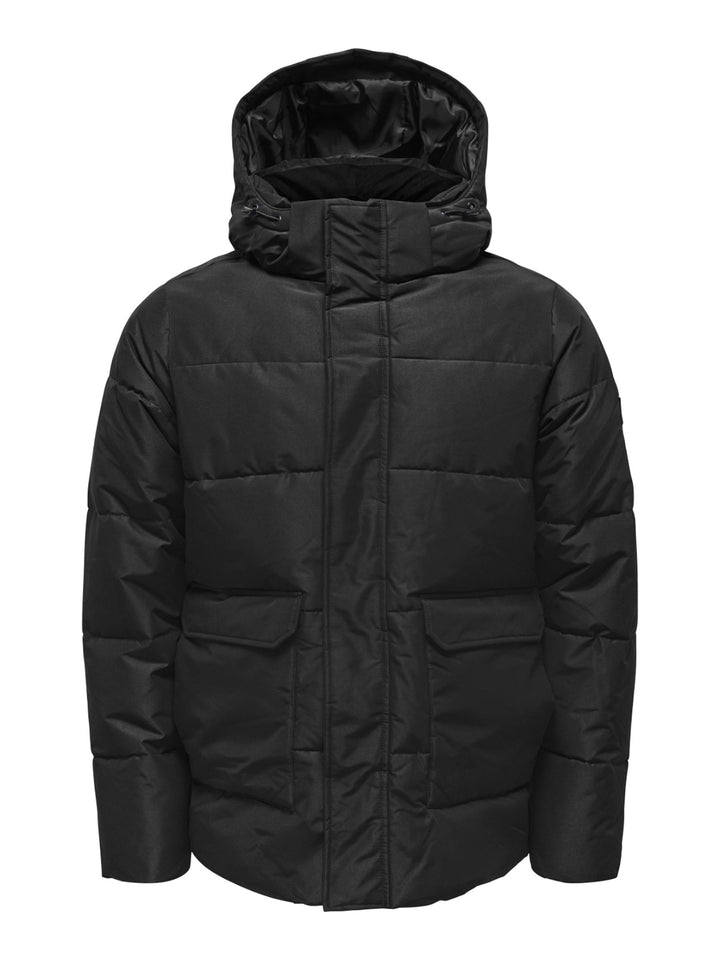 ONLY & SONS Male Daunenjacke ONSCARL Daunenjacke L Schwarz, L Schwarz