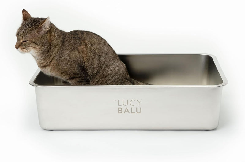 LucyBalu® STEELOO Edelstahl Katzenklo geruchsfrei | XXL-Katzentoilette aus Edelstahl | offenes Katze
