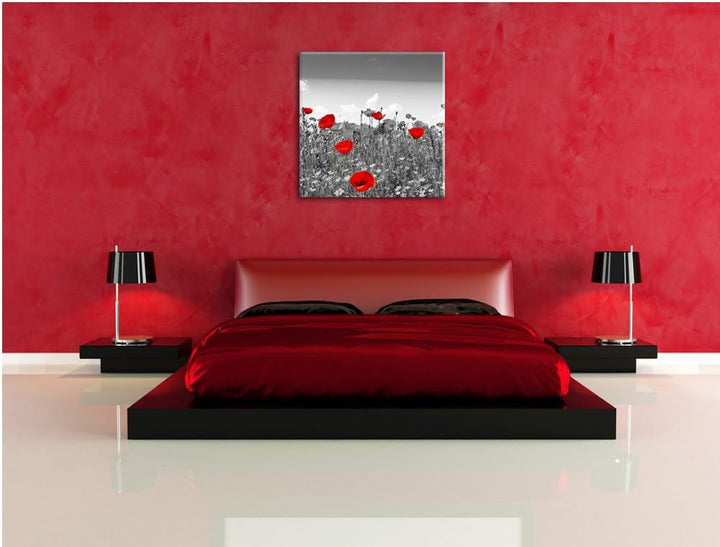 Pixxprint schöner rot leuchtender Mohn schwarz/weiss, Format: 70x70 auf Leinwand, 70x70