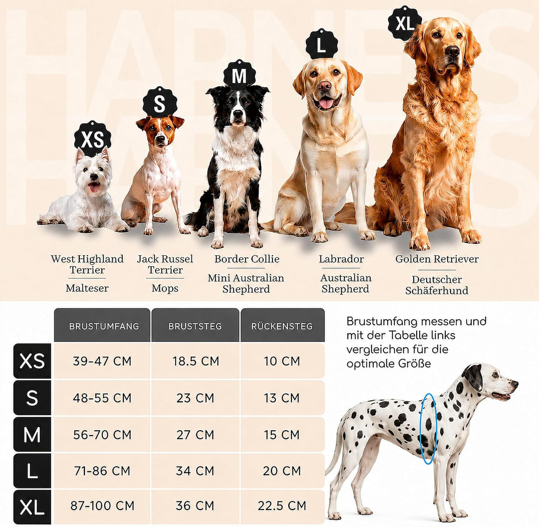 FREUDENTIER Hundegeschirr mit Mesh-Polsterung - Höchster Komfort, bombenfester Sitz &amp; maximale Siche